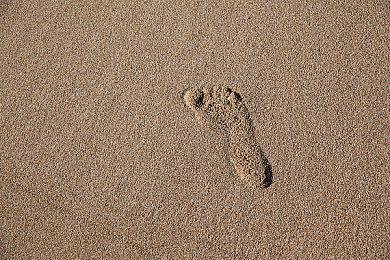 《往日不再》实际销量可能低于800万 数据来自于奖杯网站